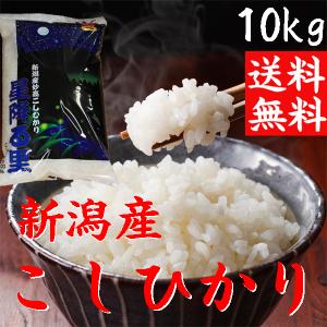 お米 10キロ 後払いの通販｜au PAY マーケット